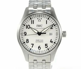 Picture of IWC Watch _SKU1610852651901528